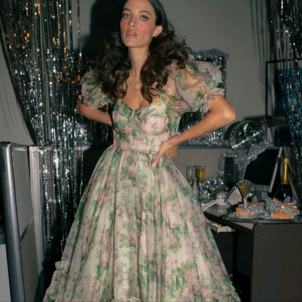 Limited Selkie Garden Roses Silk Ritz Dress